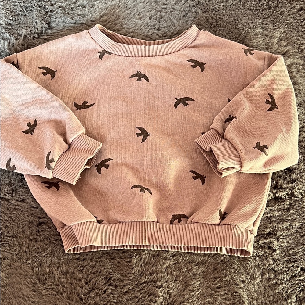 Zara Mauve Sweatshirt with Bird Design